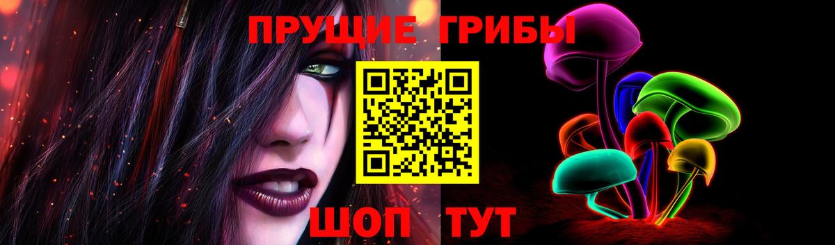 Кимовск  Галлюциногенные грибы Psilocybine cubensis  Вход с VPN 